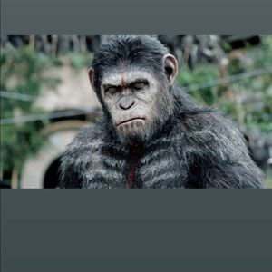 Meet your Posher, Bj